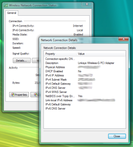 Vista's network adapter details window